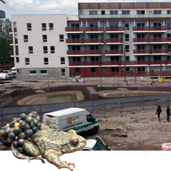 Balade aux Maisons-Neuves