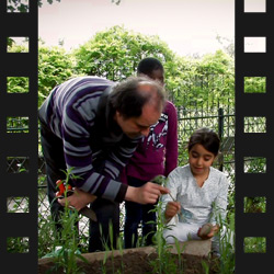 Le Monde en un jardin