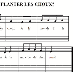 Les choux et autres végétaux