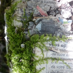 « STRATESCENCE » ET MOTS CROISÉS