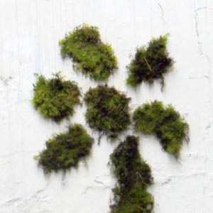Des murs couleur nature