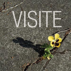 Visite découverte