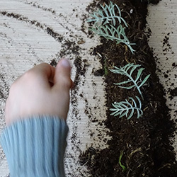 Atelier nature