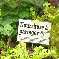 À la découverte des incroyables comestibles