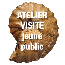 À la découverte des collections de l'Université
