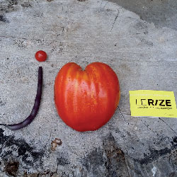 Venez « gabouiller »