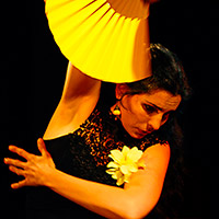 Récital Flamenco