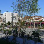 La biodiversité dans les jardins de mon quartier