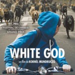 Ciné de l'été #3 : White God