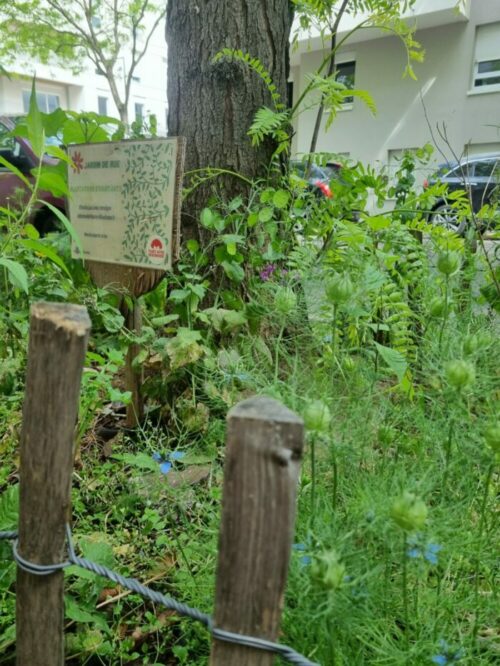 FESTIVAL CURIEUX DÉTOURS – GRANDCLÉMENT : BALADE ENTRE BIODIVERSITÉ ET PATRIMOINE