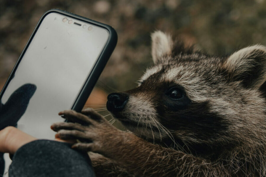 (RE)MISE À NIVEAU TABLETTE ET SMARTPHONE POUR DÉBUTANTS