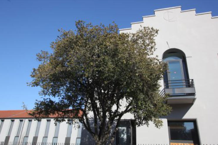 Visite architectural du Rize