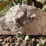 ATELIER NICHOIRS À HIRONDELLE