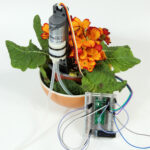 MA PLANTE À SOIF ?!