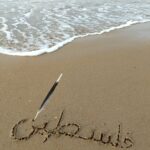 PALESTINE : UNE POÉSIE DANS LA DOULEUR