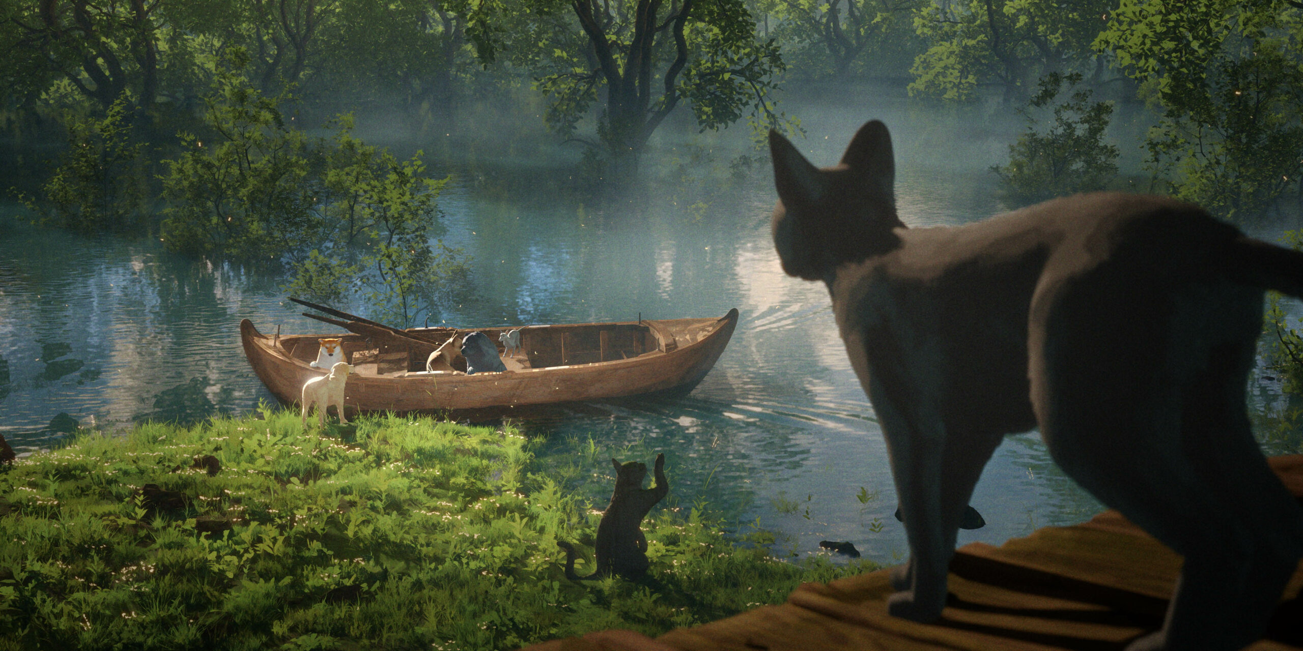 FLOW, LE CHAT QUI N'AVAIT PLUS PEUR DE L'EAU