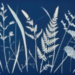 LA MAGIE DU CYANOTYPE