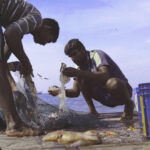 AGAINST THE TIDE