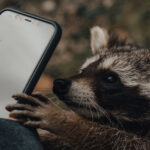 Prise en main de son smartphone (ou tablette)