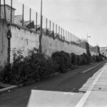 À la recherche de la Rize disparue - arpentage carto-photographique