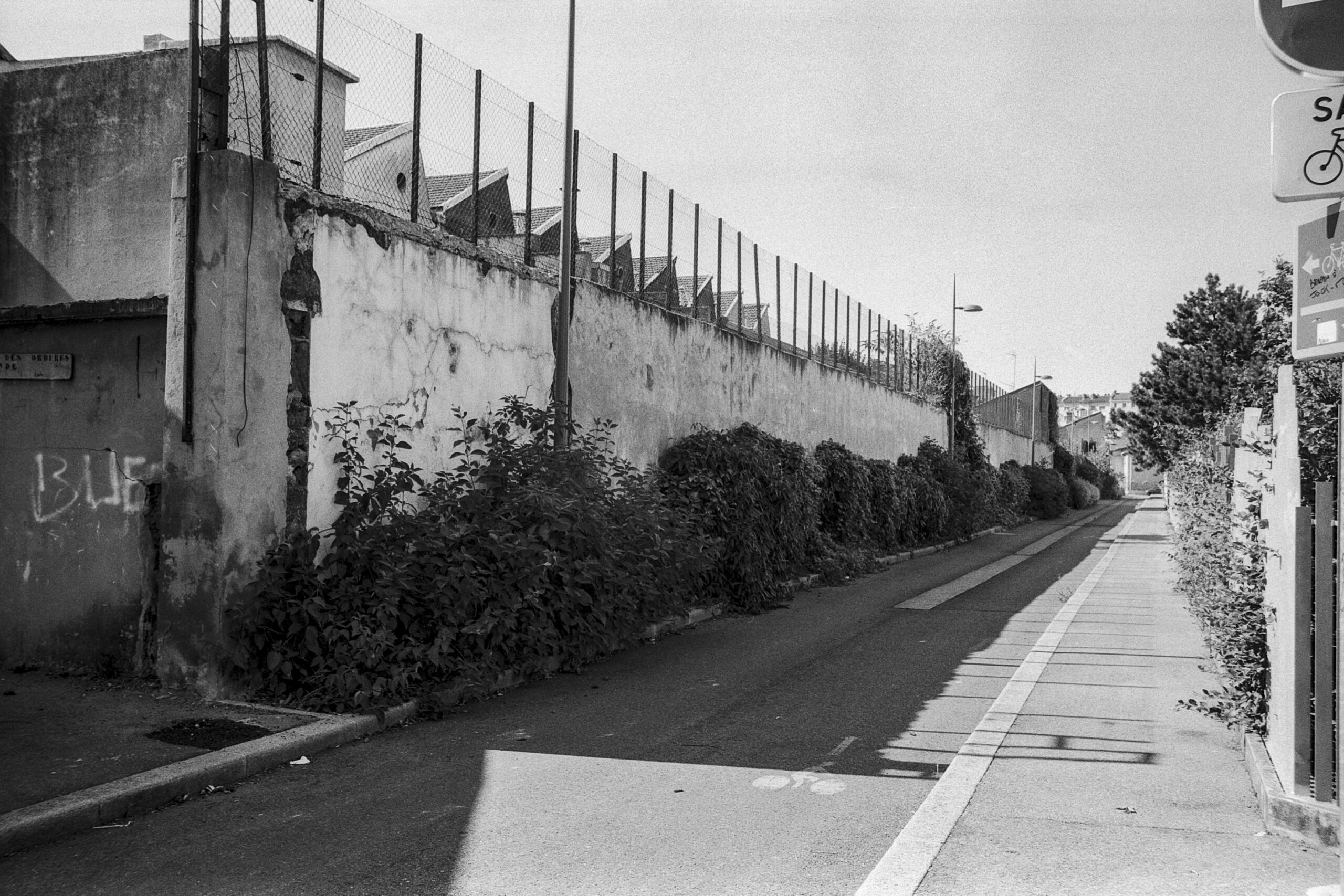 À la recherche de la Rize disparue - arpentage carto-photographique